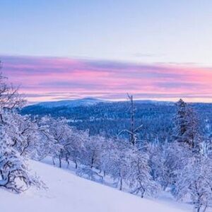 Winter Sale- See Description For Details